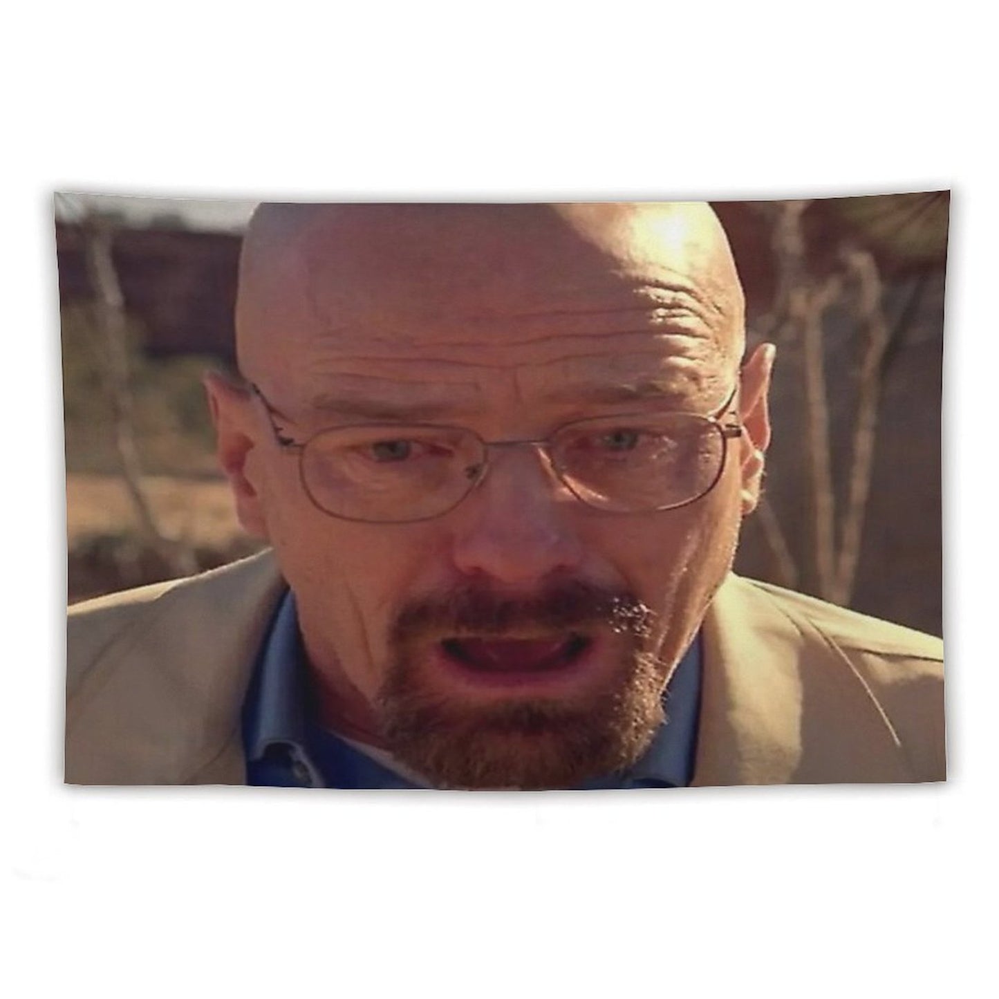 Walter White Meme Tapestry