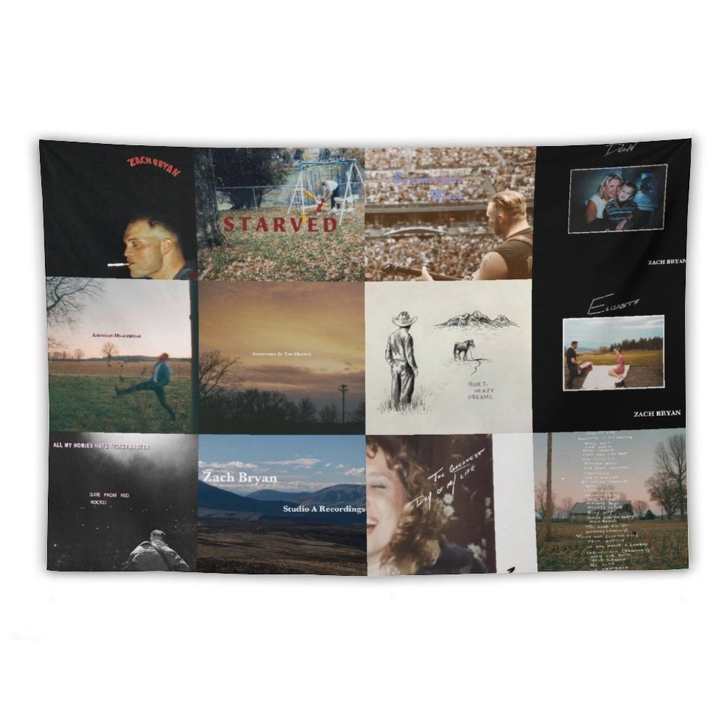 Zach Singer Bryan 12 Ablums Collection Cover Tapestry