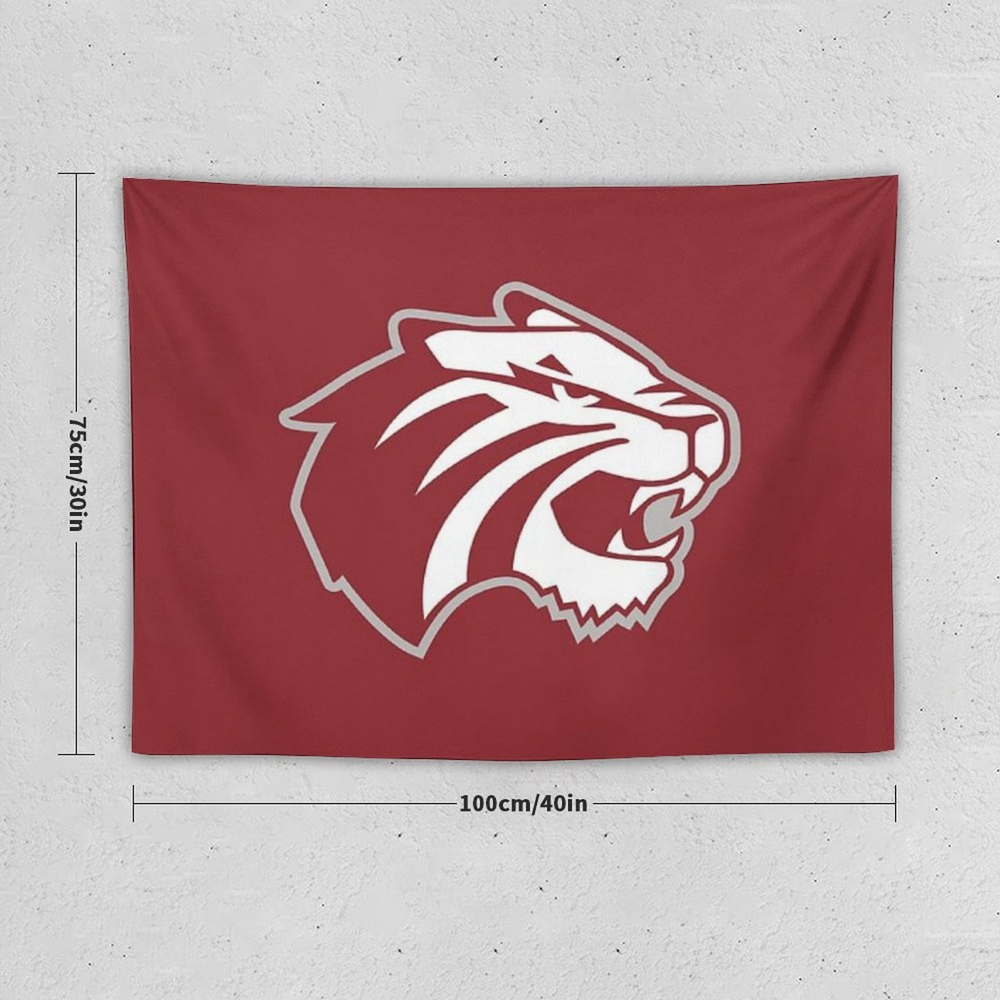Trinity University Tapestry