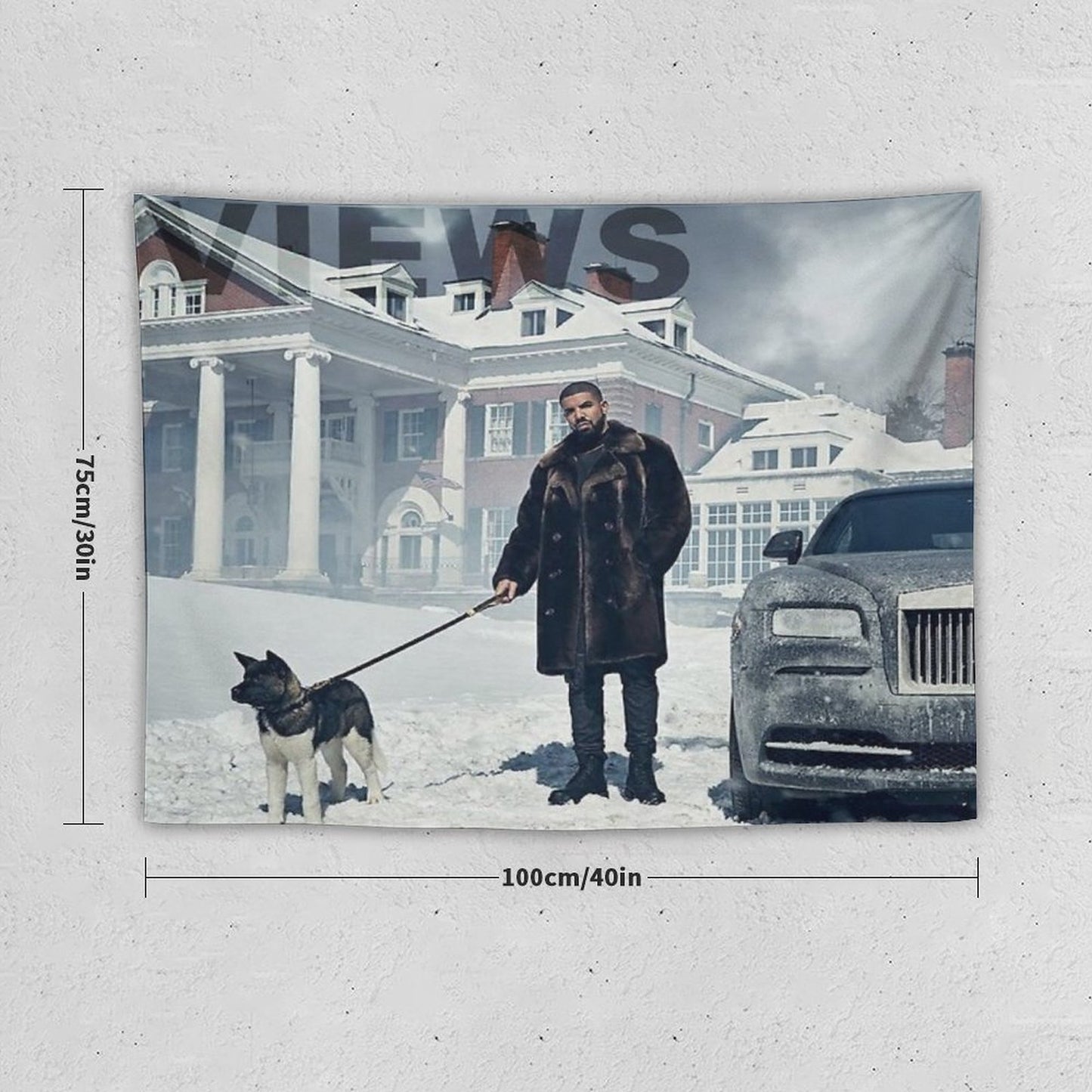 Drake with Dog Views Tapestry Tapestry