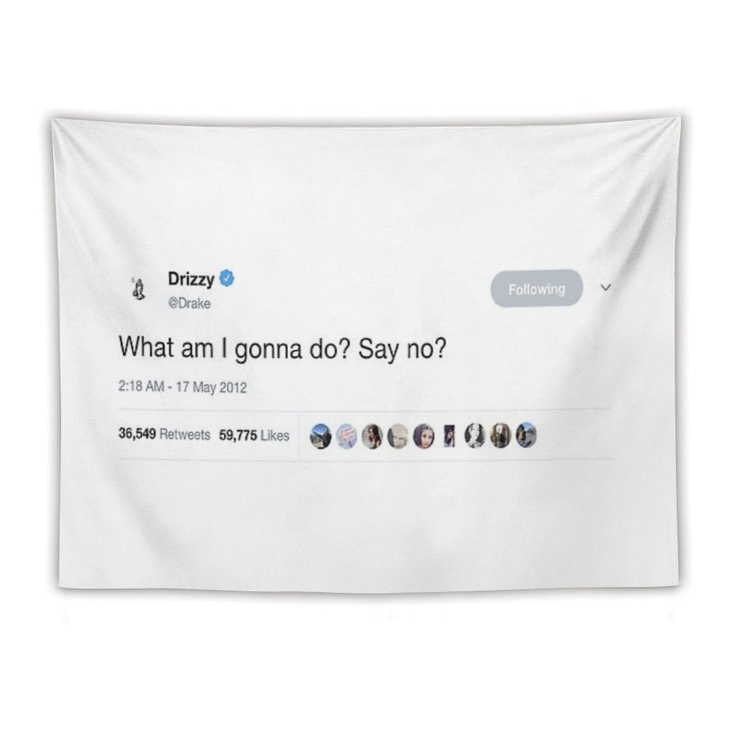 Drake - What Am I Gonna Do Say No Tweet Tapestry