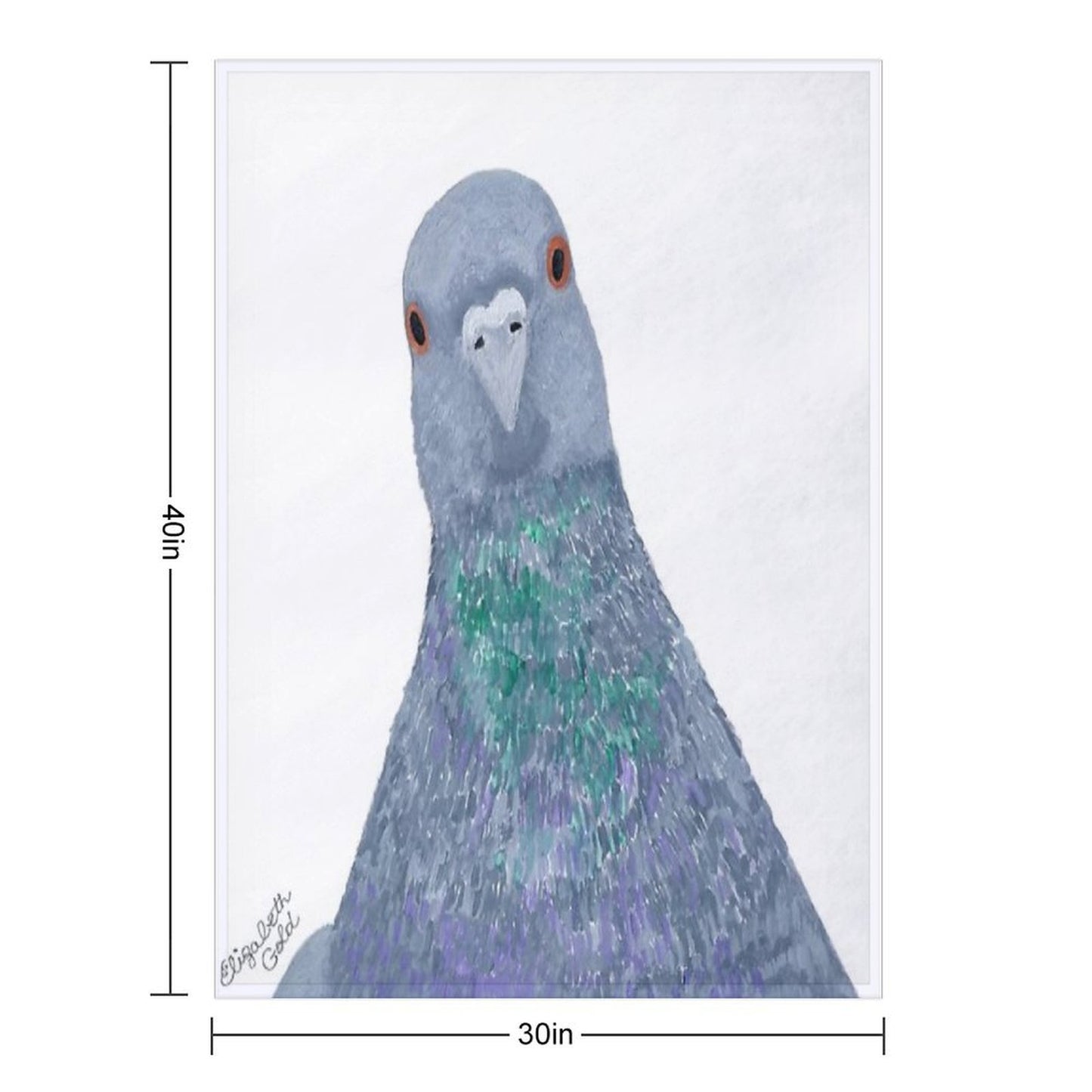 Pigeon Wild Rock Dove Bird Throw Blanket