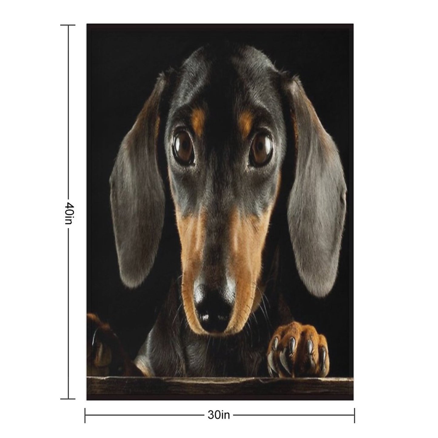 Dachshund Dog Photo Portrait Throw Blanket