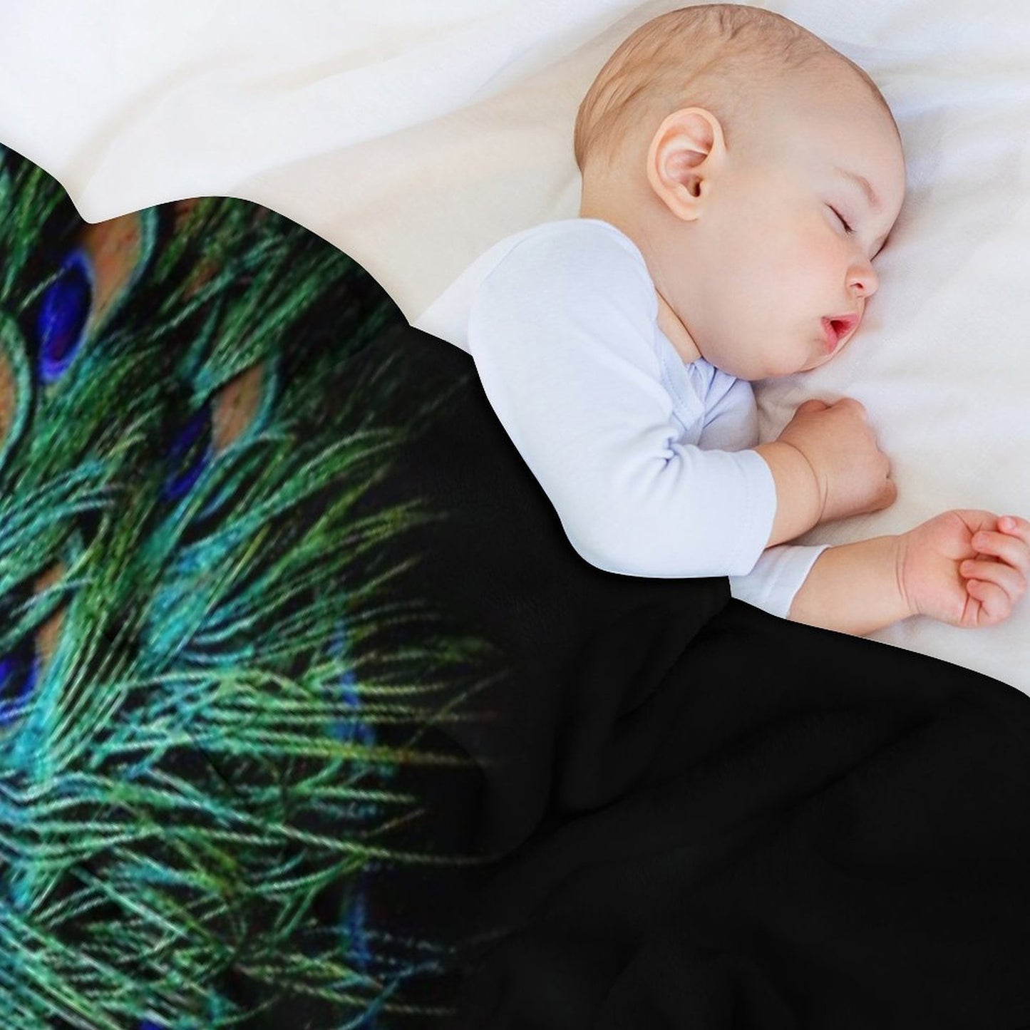 Peacock Feathers on A Black Background Throw Blanket