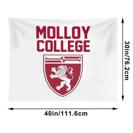 Molloy College Tapestry