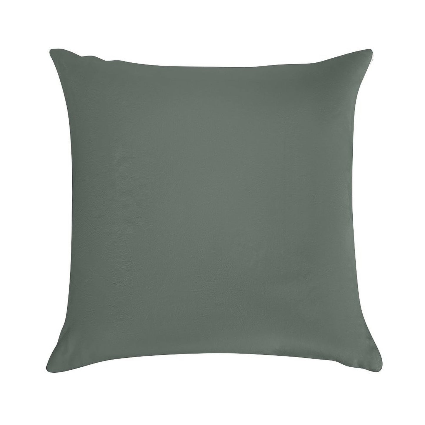 New Smoke Green by Farrow And Ball Paint Soft Durable Construction Throw Pillow