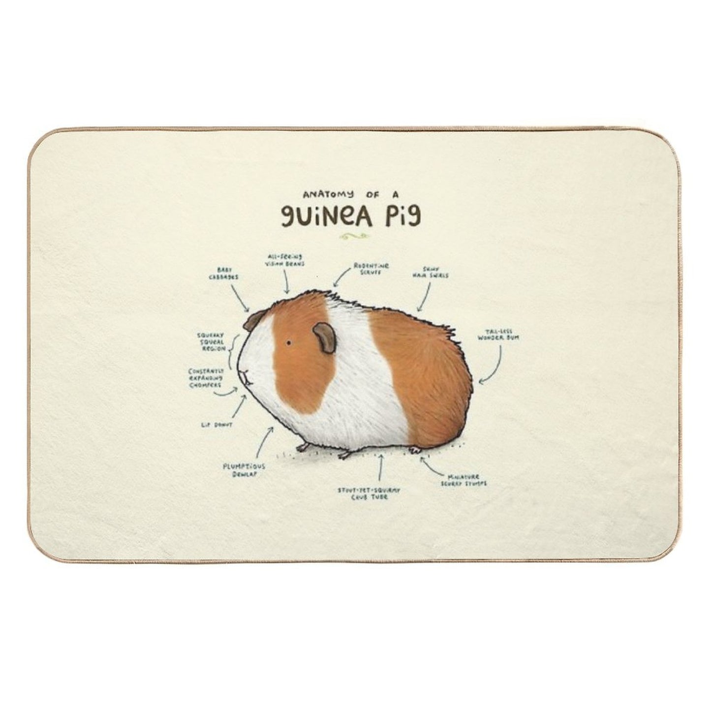 Anatomy of A Guinea Pig High-Traffic Bath Mat