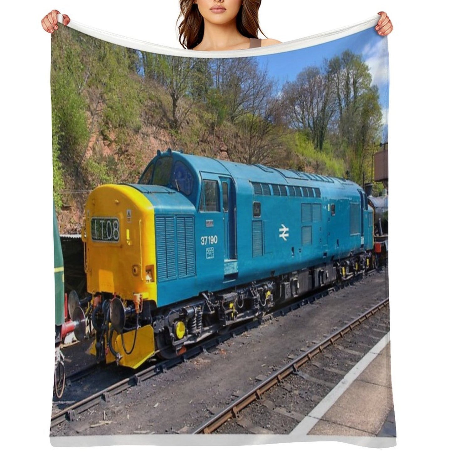 Class 37 at Bewdley Throw Blanket