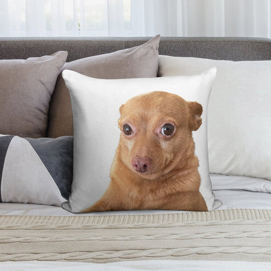 Mr. Mouse Soft Anti-Pilling Throw Pillow