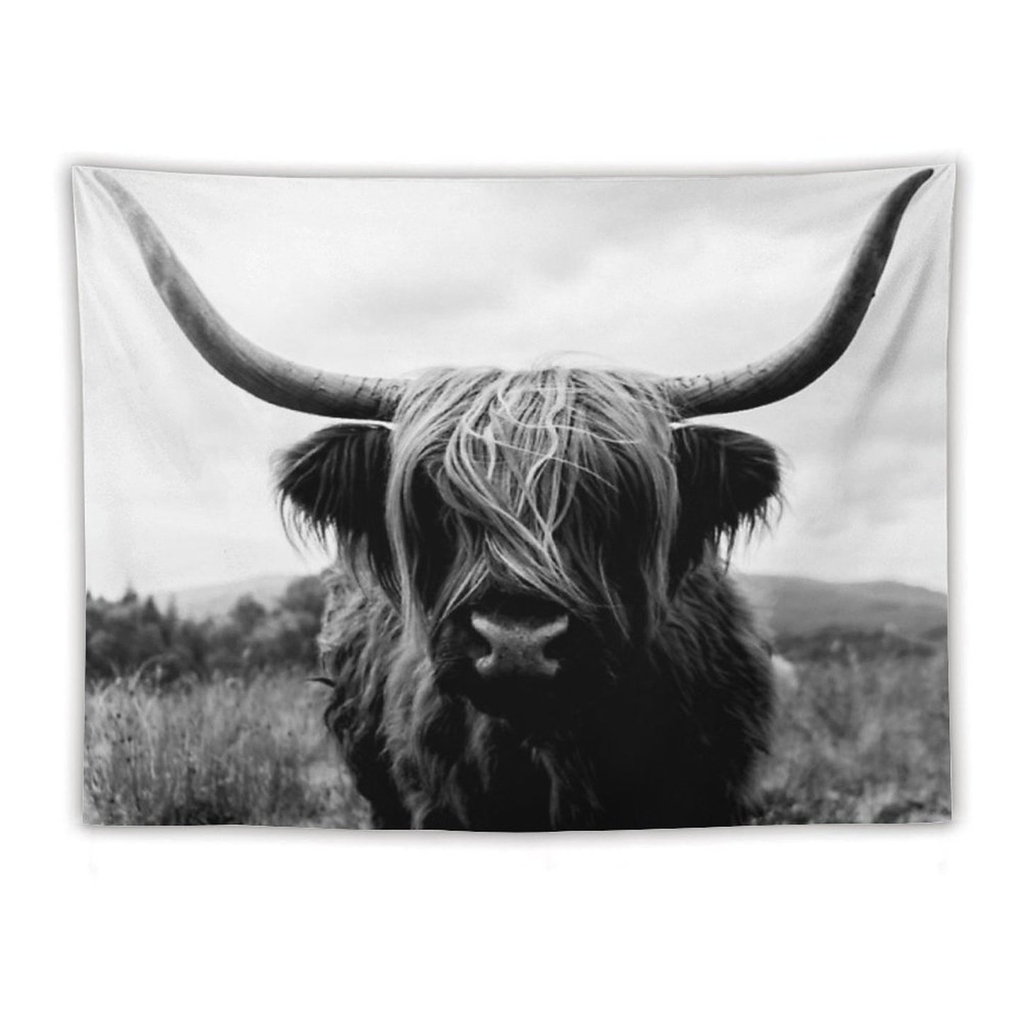 Scottish Highland Cattle - Black And White Animal Photography Tapestry