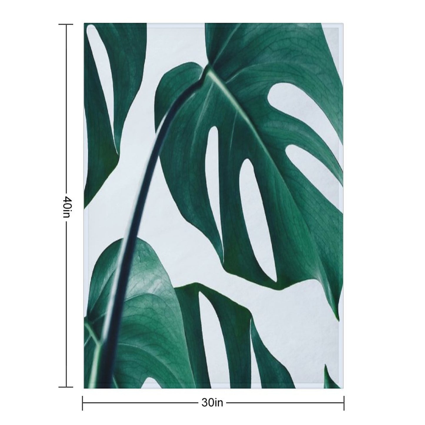 Monstera #redbubble #artprints Throw Blanket