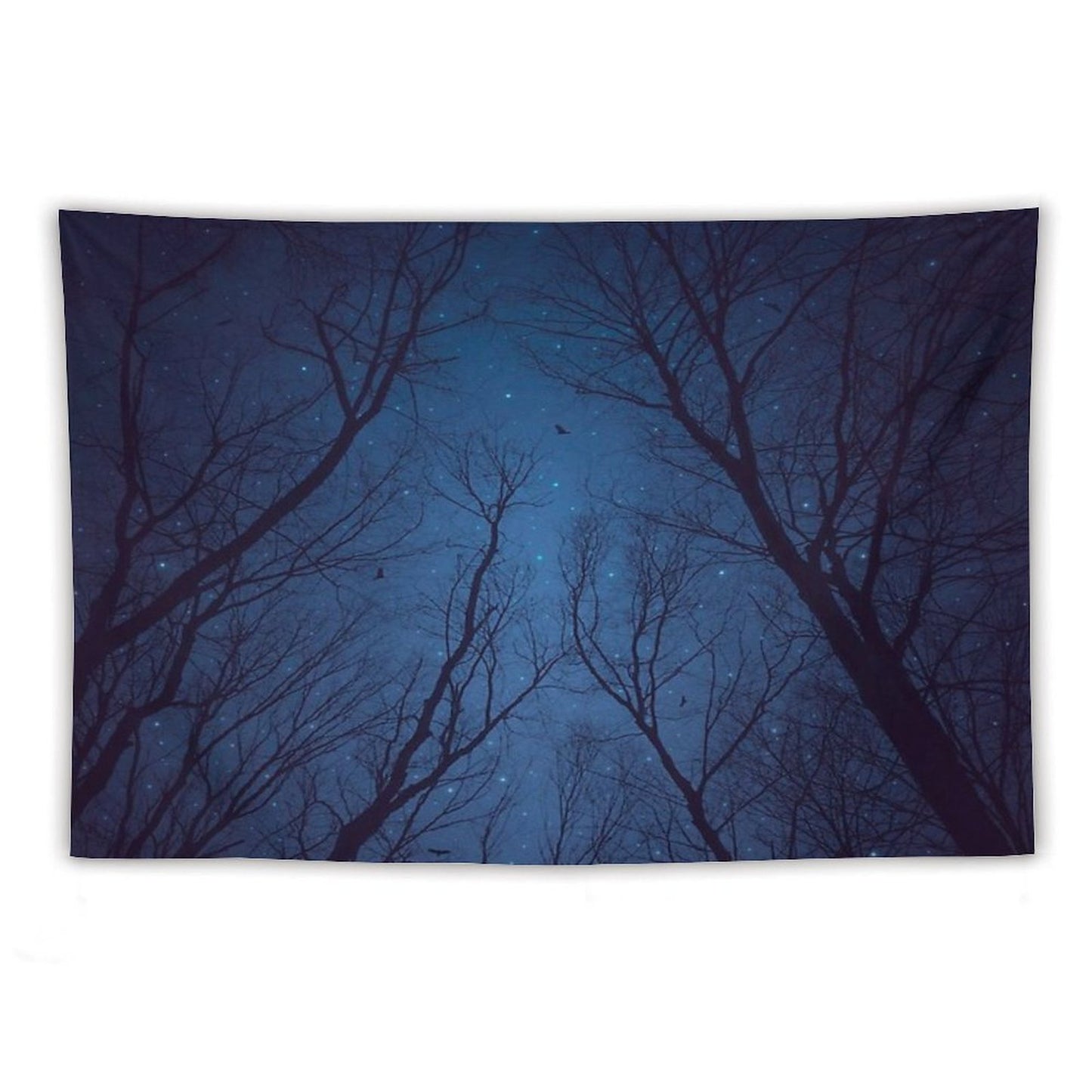 I Have Loved The Stars Too Fondly Tapestry