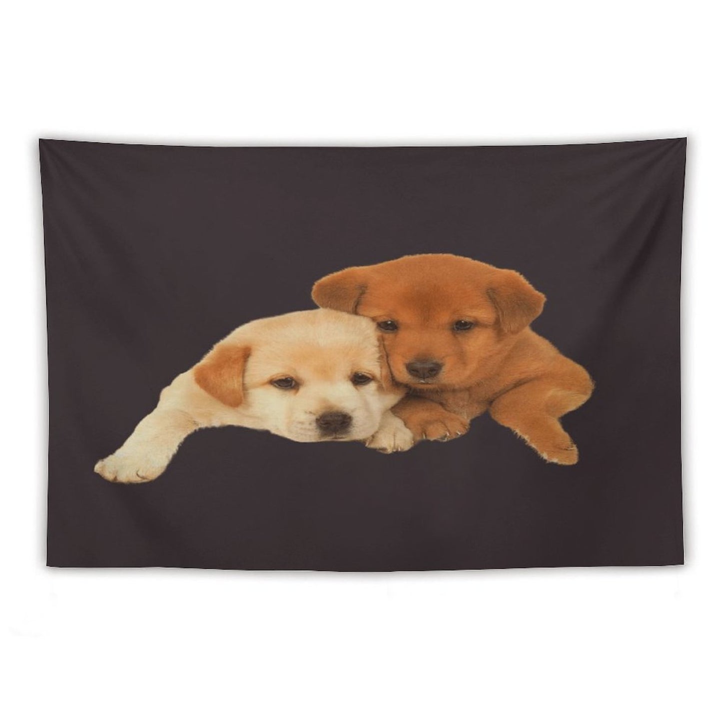 Drake - FOR ALL THE DOGS Tapestry