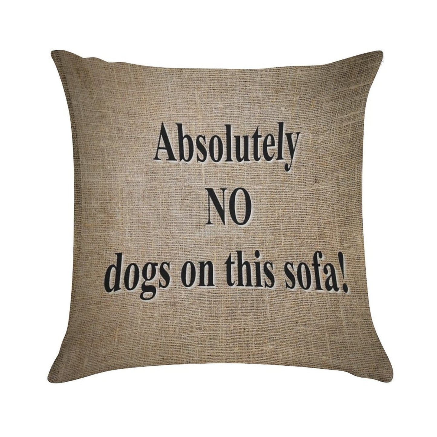 No Dogs on Sofa Soft Home Decor Throw Pillow