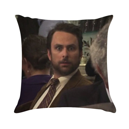 ASIP Soft Hidden Zipper Throw Pillow