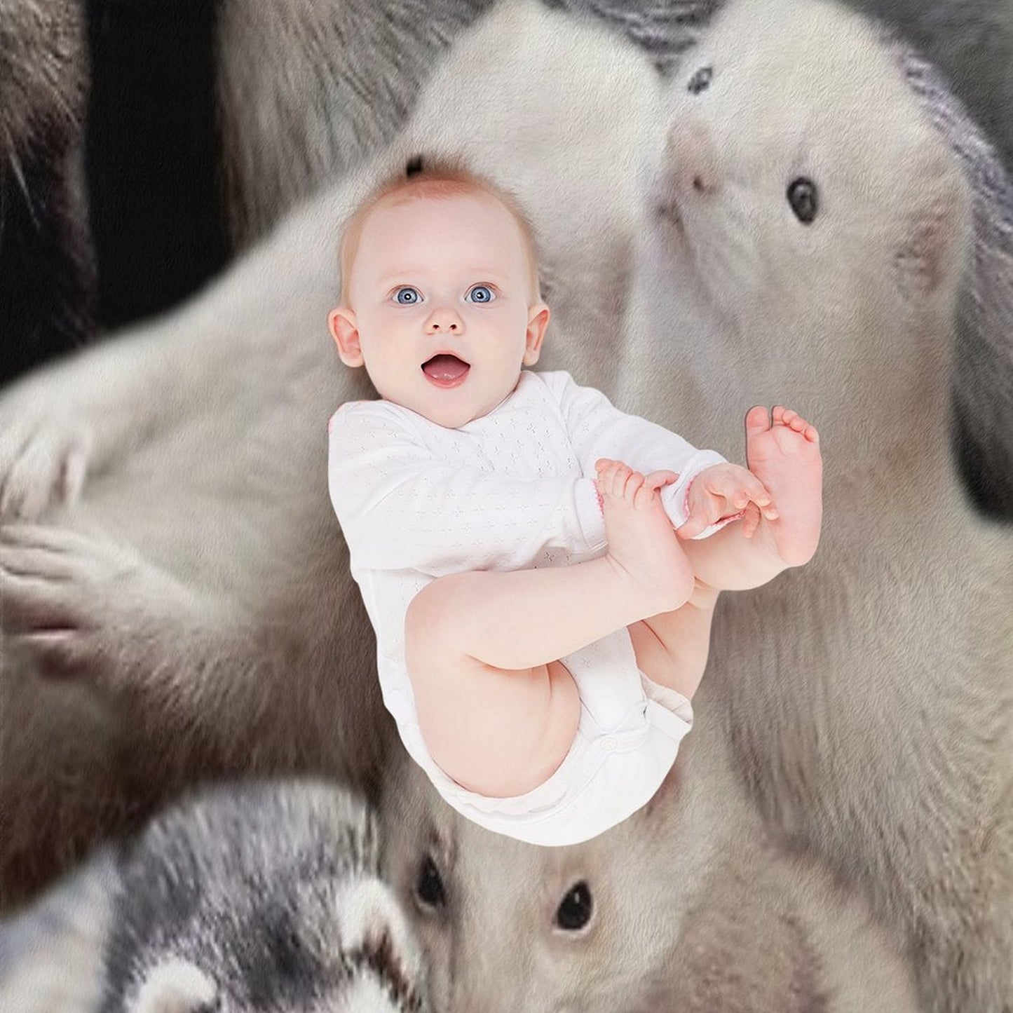 Ferrets Throw Blanket