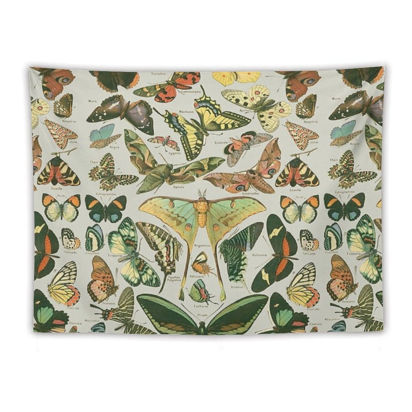 Butterfly Pattern Tapestry