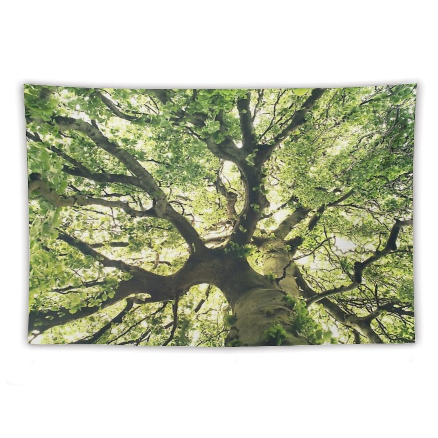 Under Your Skin Under Your Skin Summer Breeze In A Wilderness Fairytale Forest With A Tree Covered In Magic Sunlight Tapestry