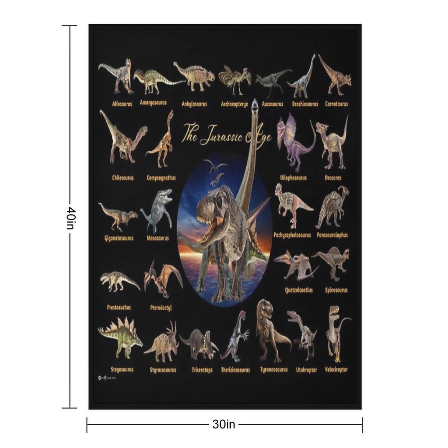 Dinosaurs The Jurassic Age (Black Background) Throw Blanket