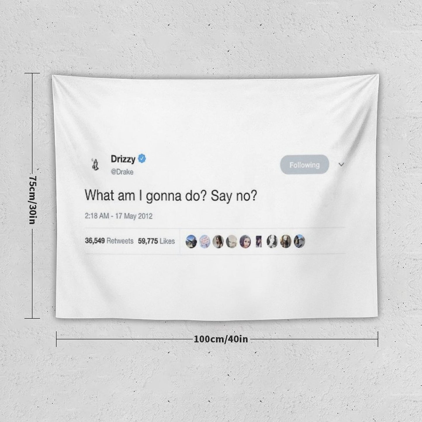 Drake - What Am I Gonna Do Say No Tweet Tapestry