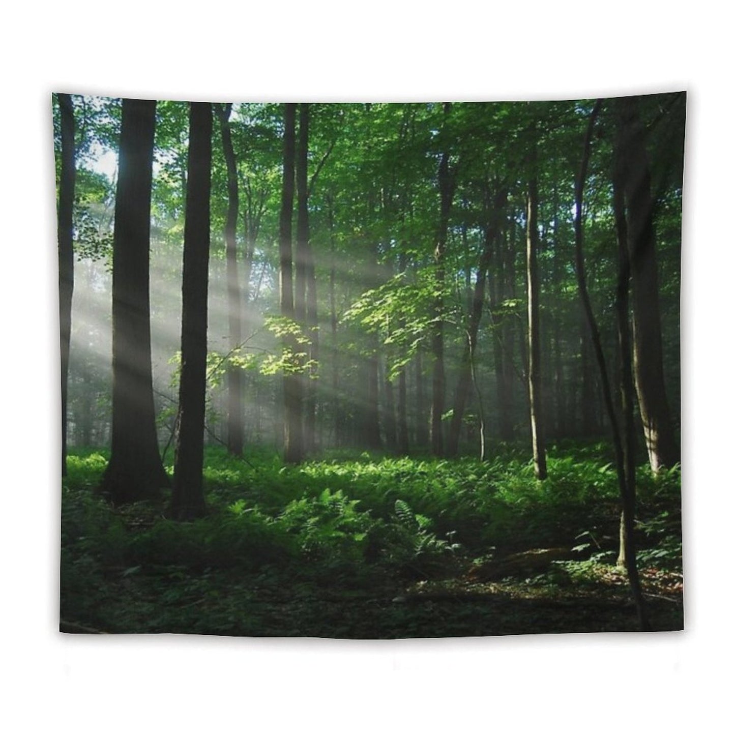 Lighted Forest Tapestry