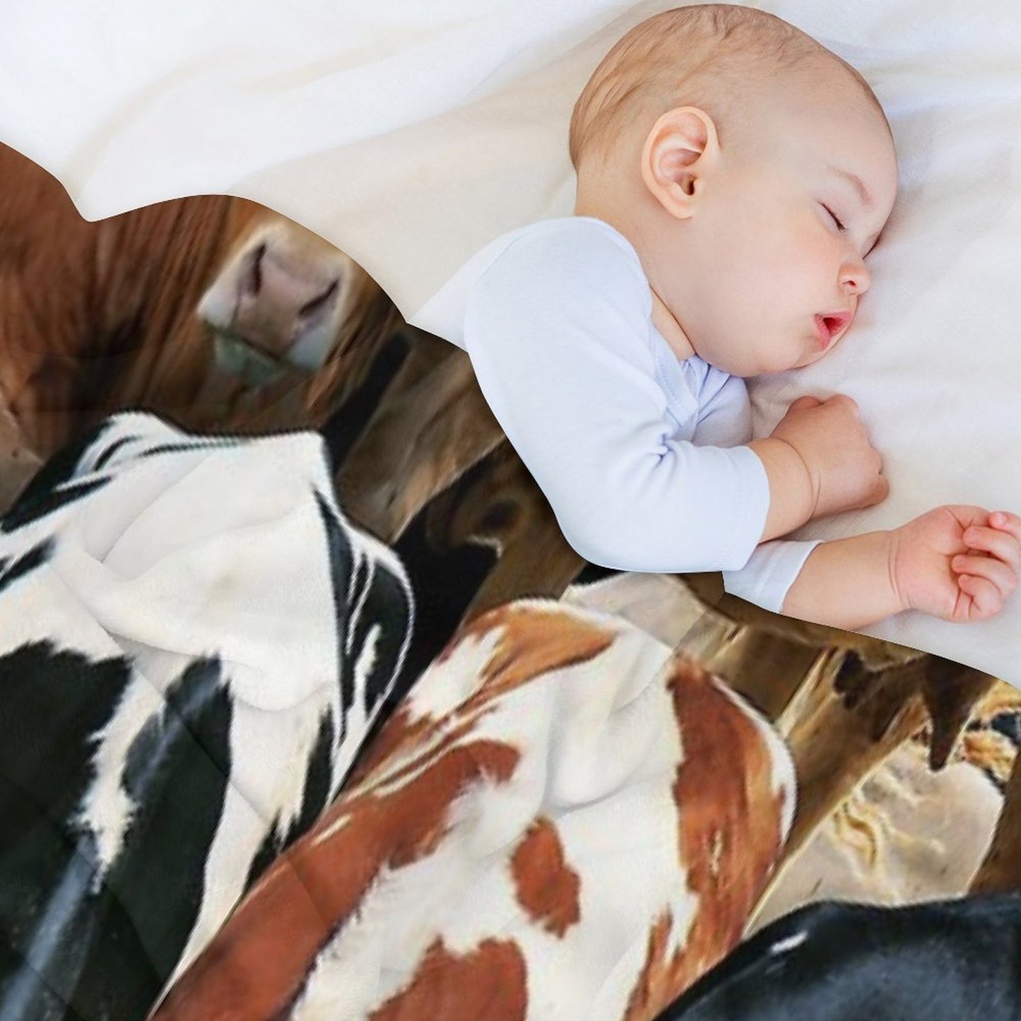 Cows Throw Blanket