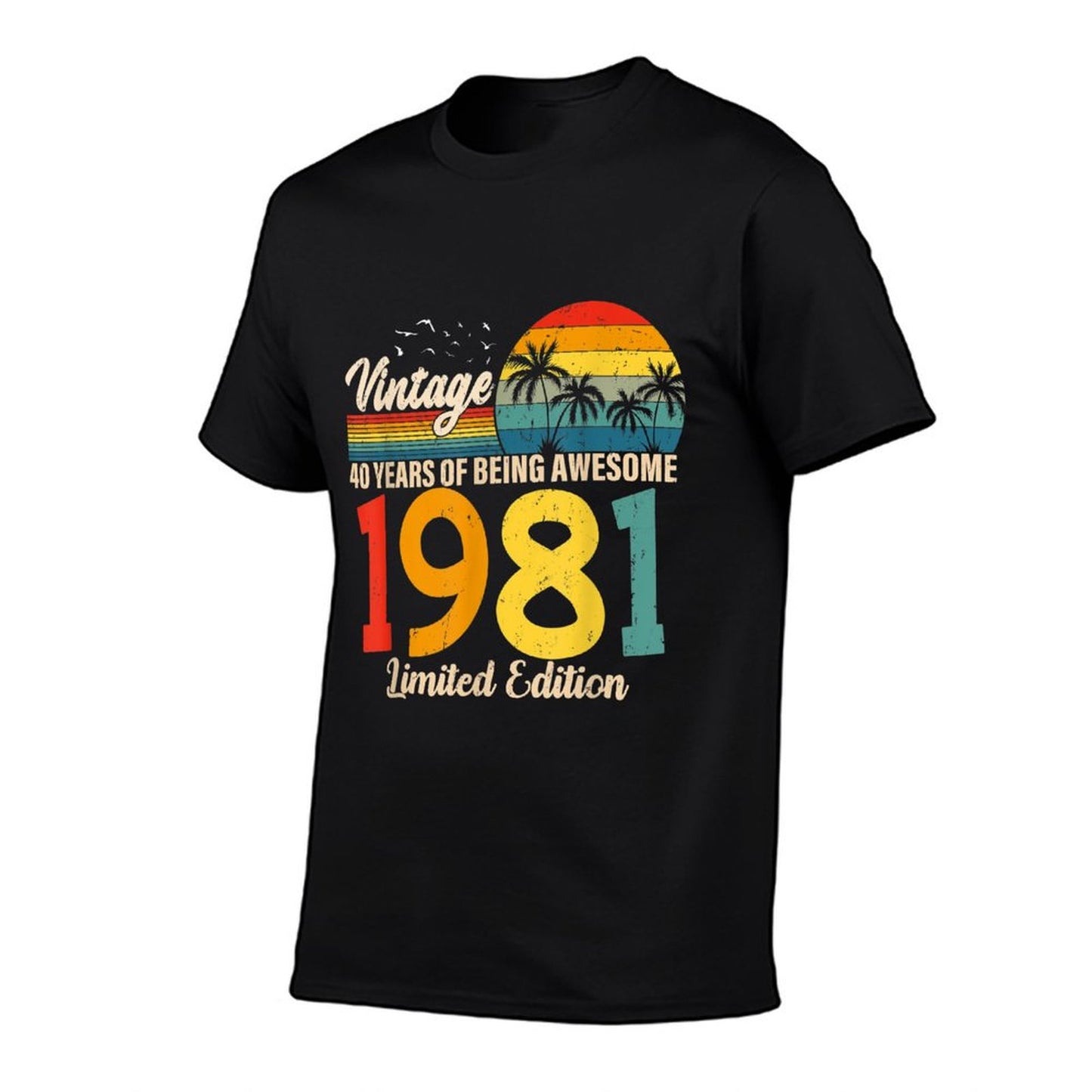 Vintage 1981 40th Birthday 40 Years Old Gift Men Women Affordable Price T-Shirt