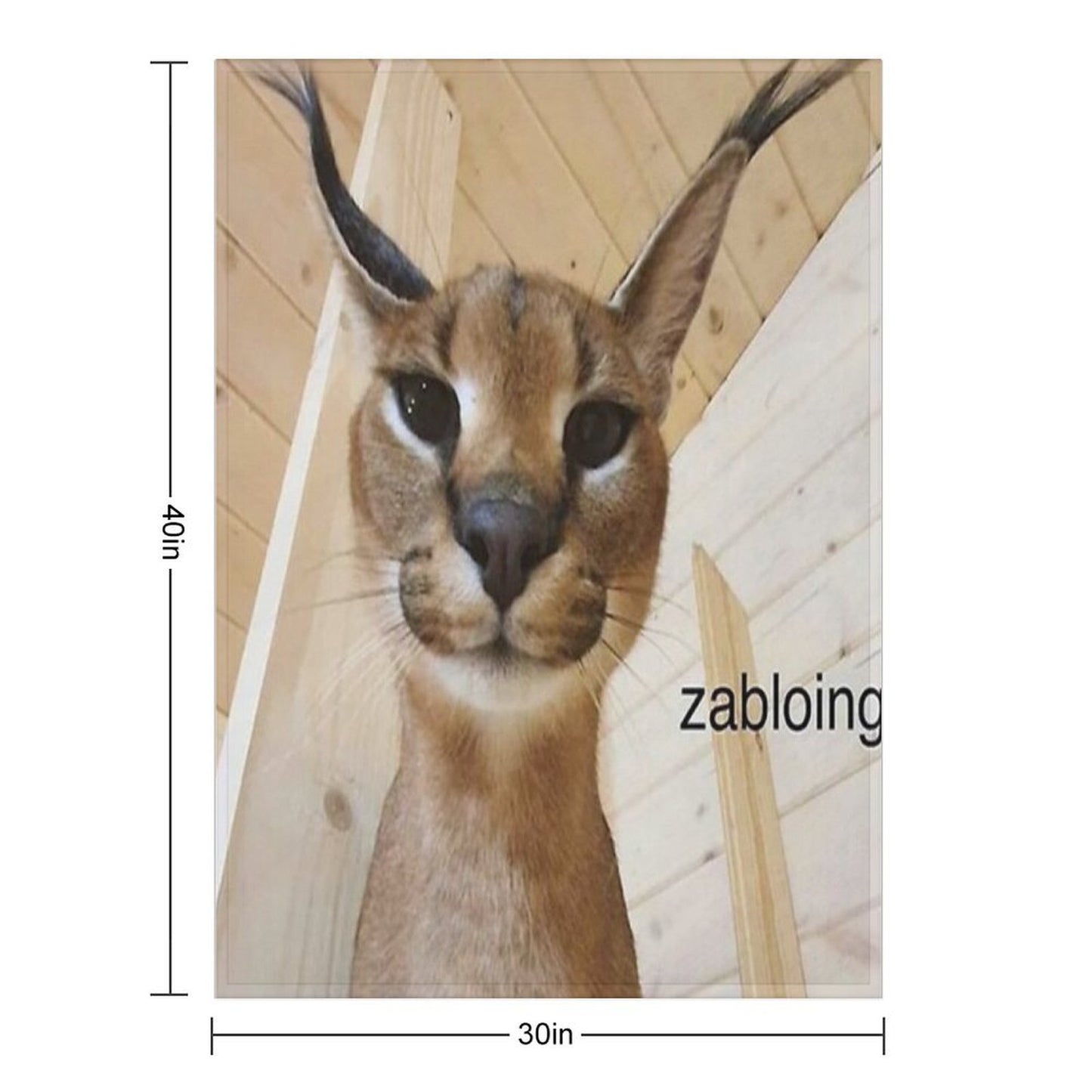 Zabloing Meme Throw Blanket
