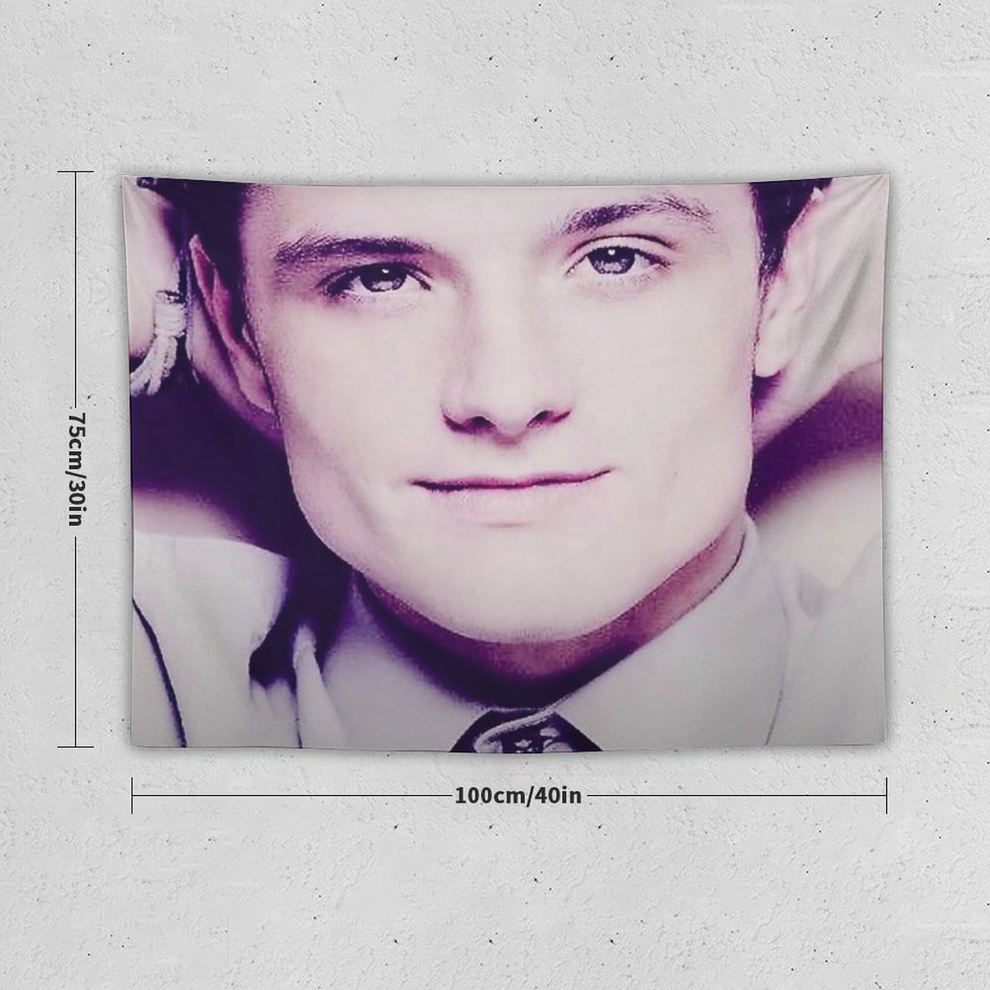 Josh Hutcherson. Tapestry