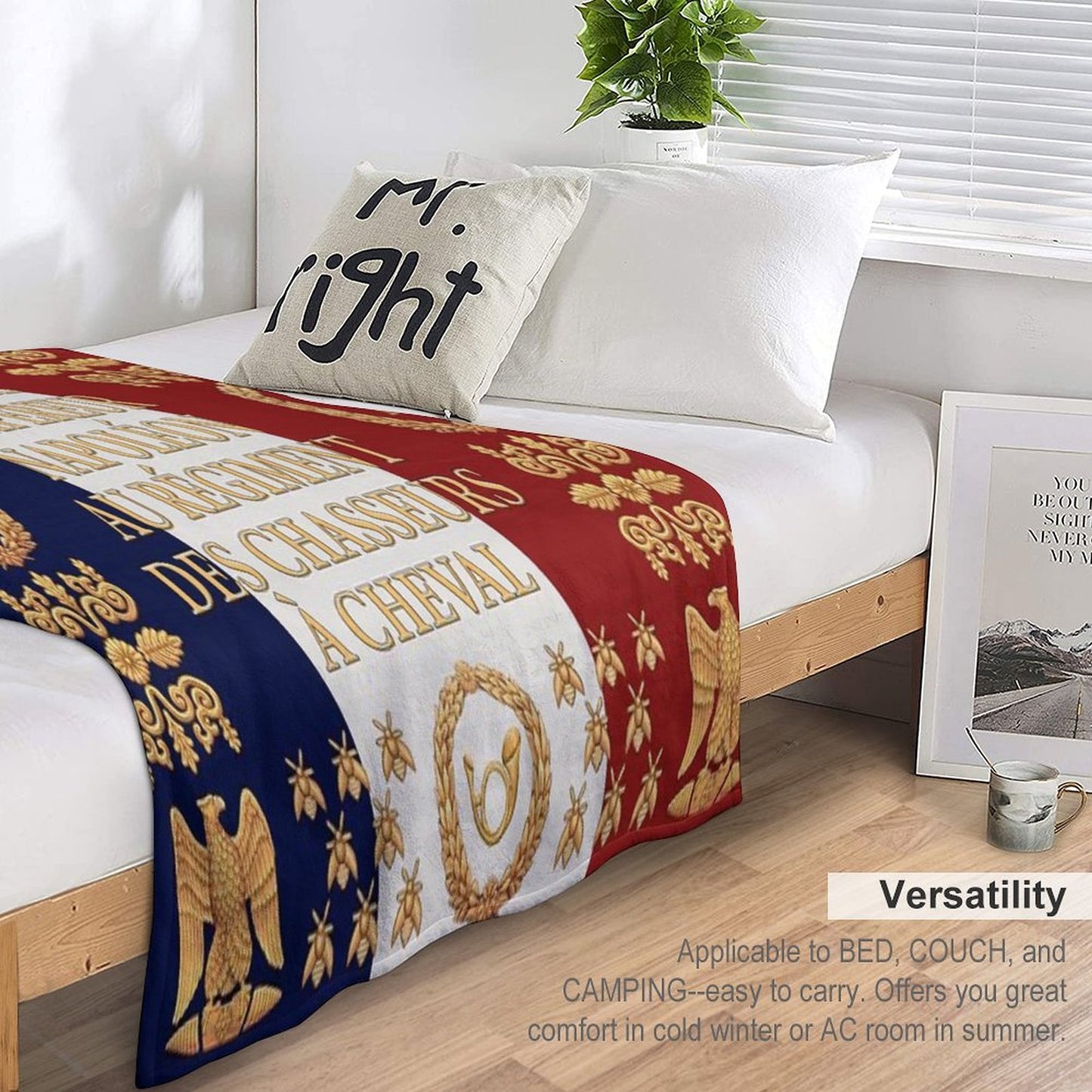 Napoleonic French Flag of The Chasseurs A Cheval De La Garde Throw Blanket