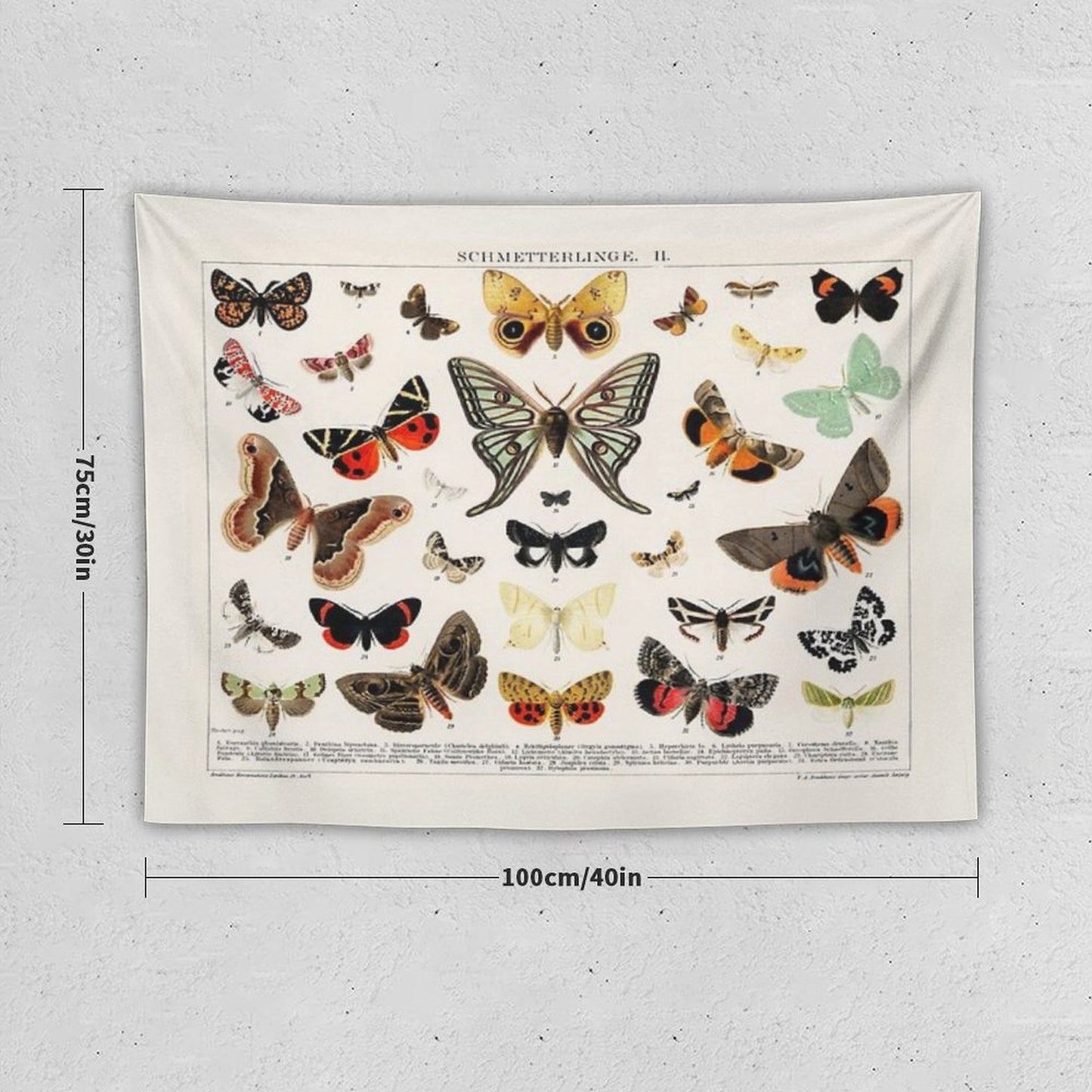 1894 Antique Butterfly Classification Illustration Tapestry
