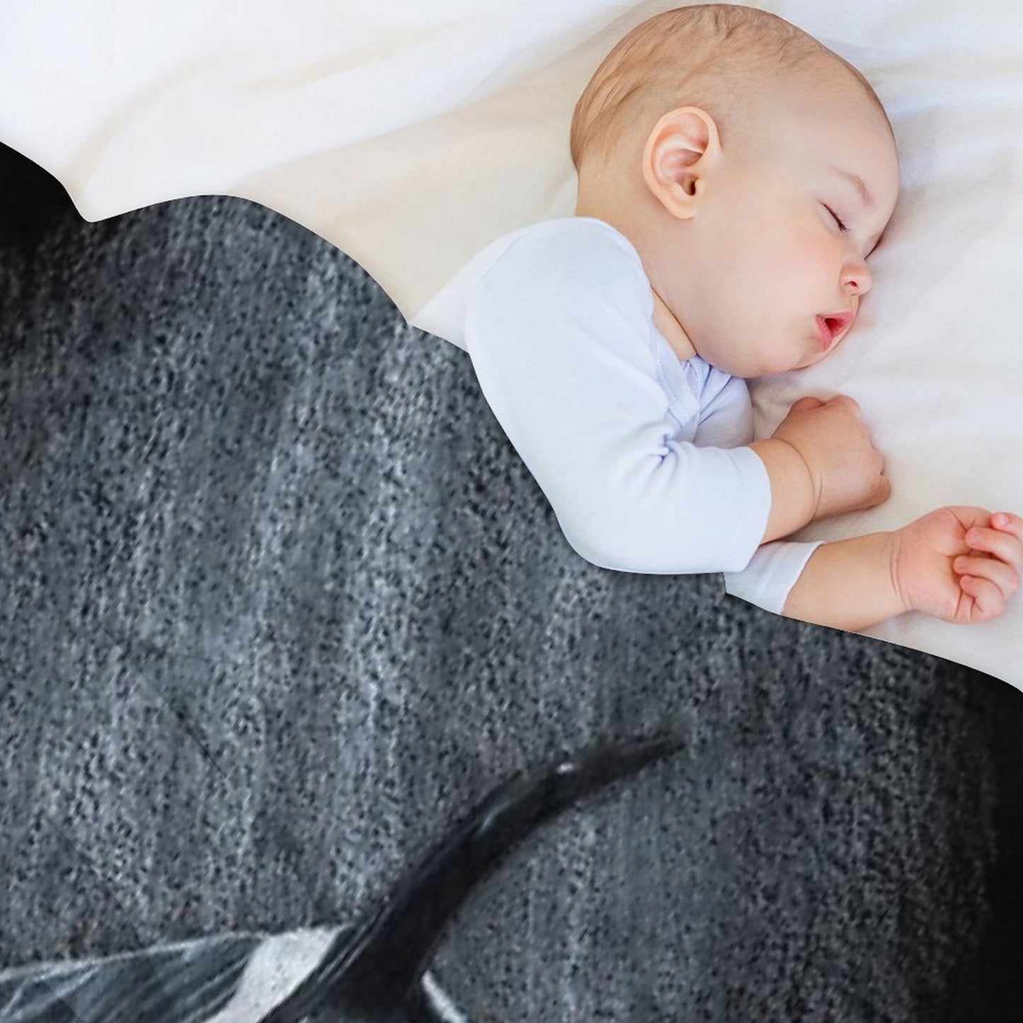 White Whale - Orca Throw Blanket