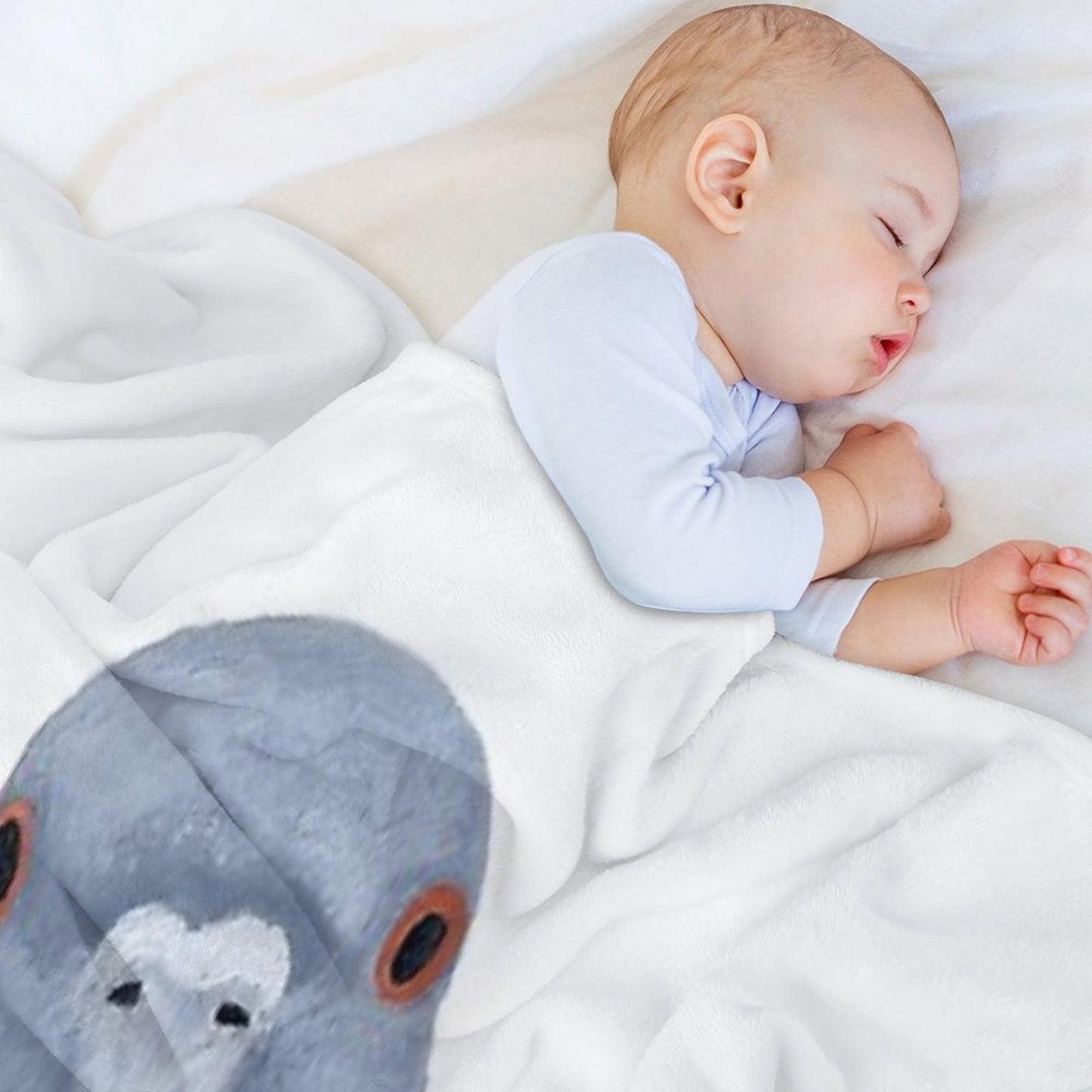 Pigeon Wild Rock Dove Bird Throw Blanket