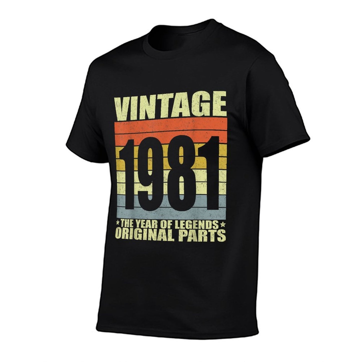Vintage 1981 40th Birthday Gift Men Women 40 Years Old Vintage-inspired T-Shirt