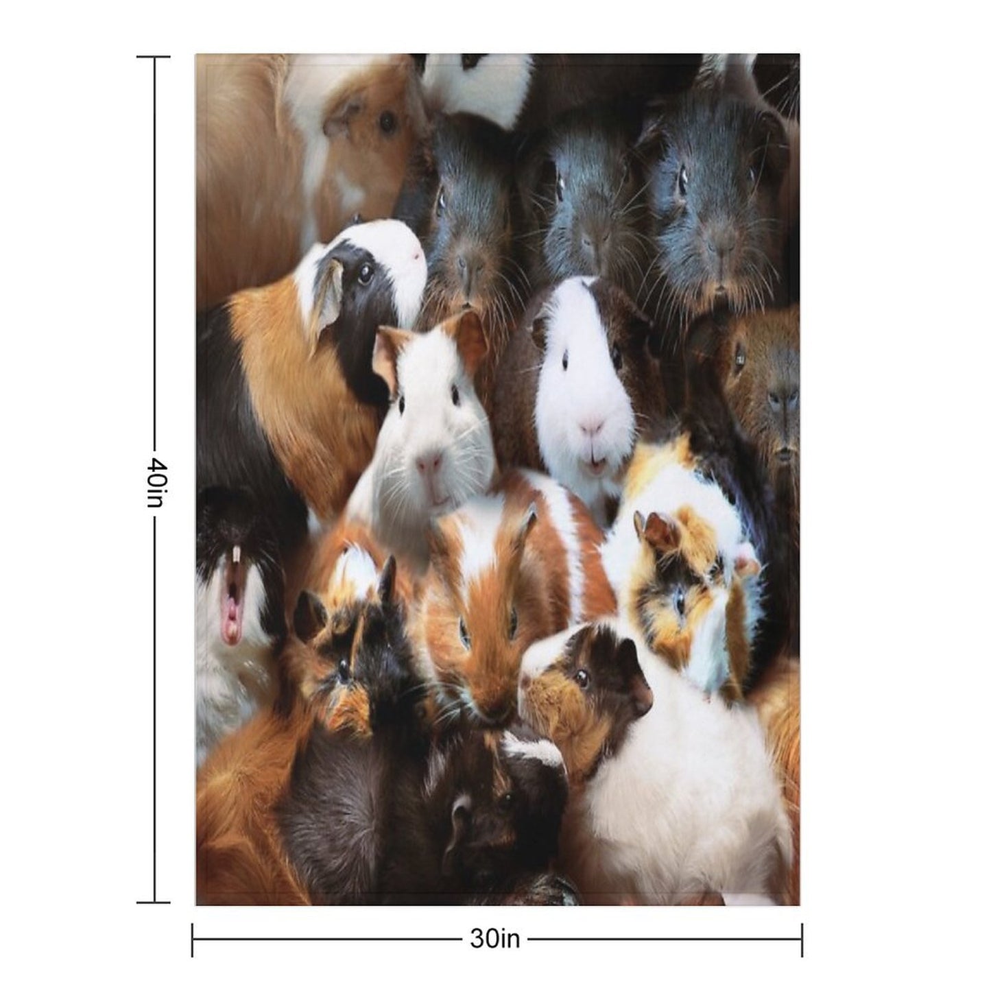 Guinea Pigs Throw Blanket