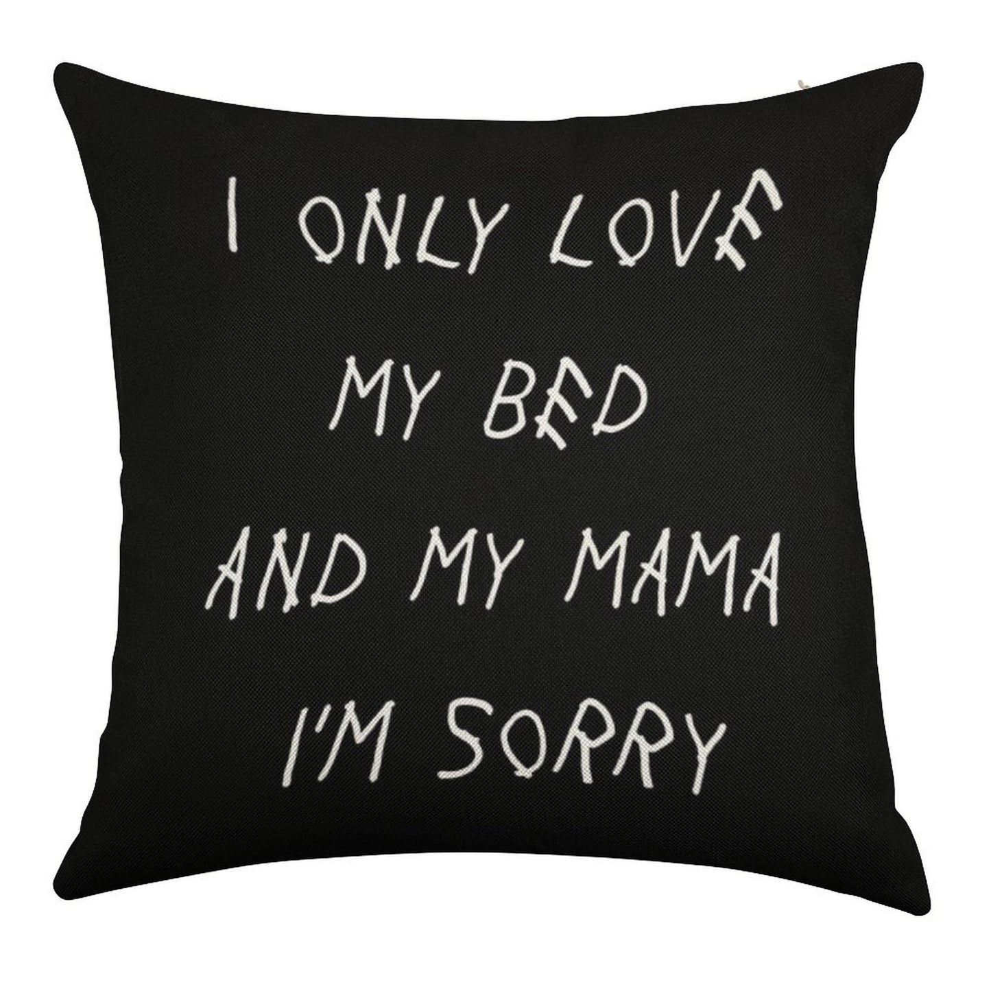 I Only Love My Bed And My Mama I'm Sorry Drake Lyrics God's Plan Linen Throw Pillow Cover