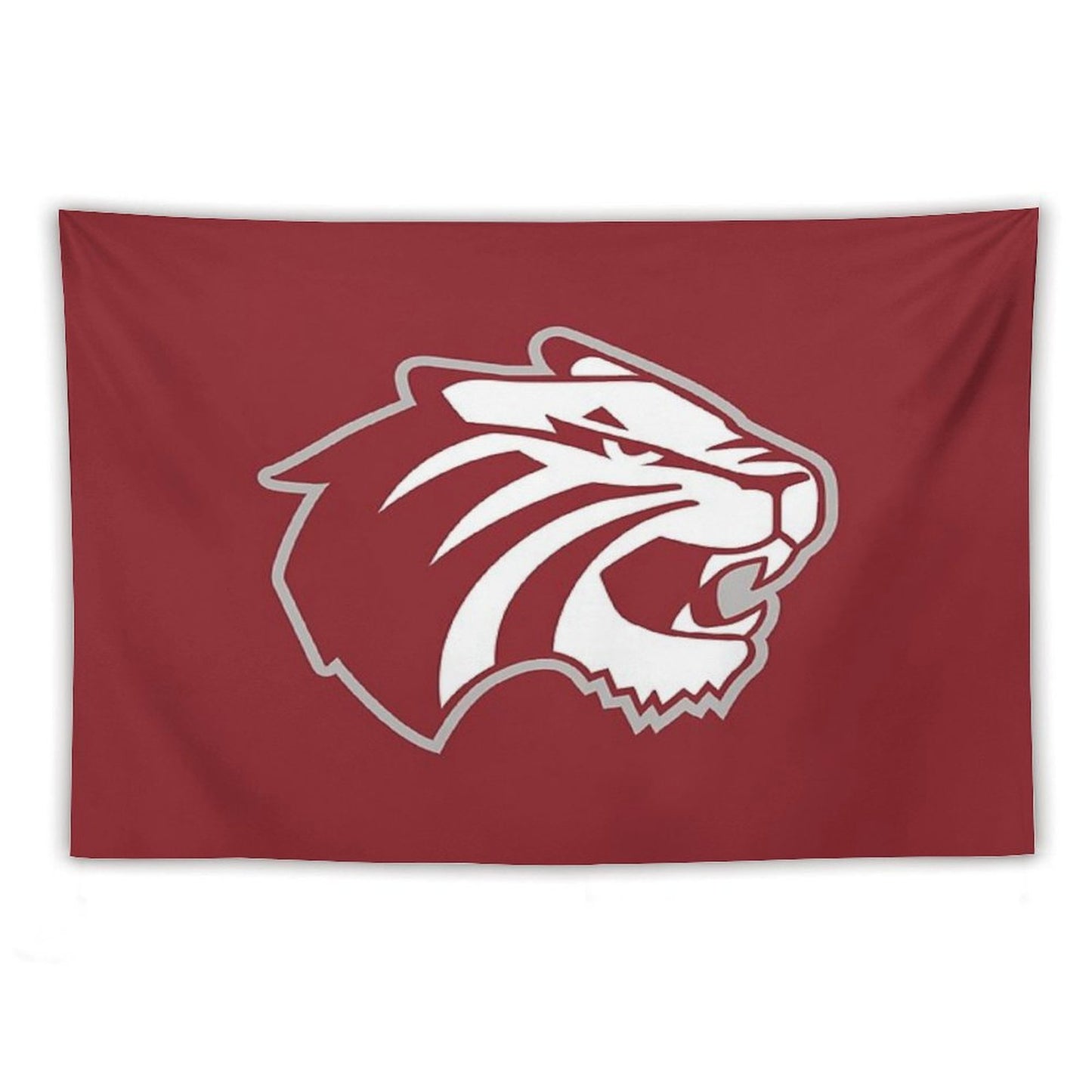 Trinity University Tapestry