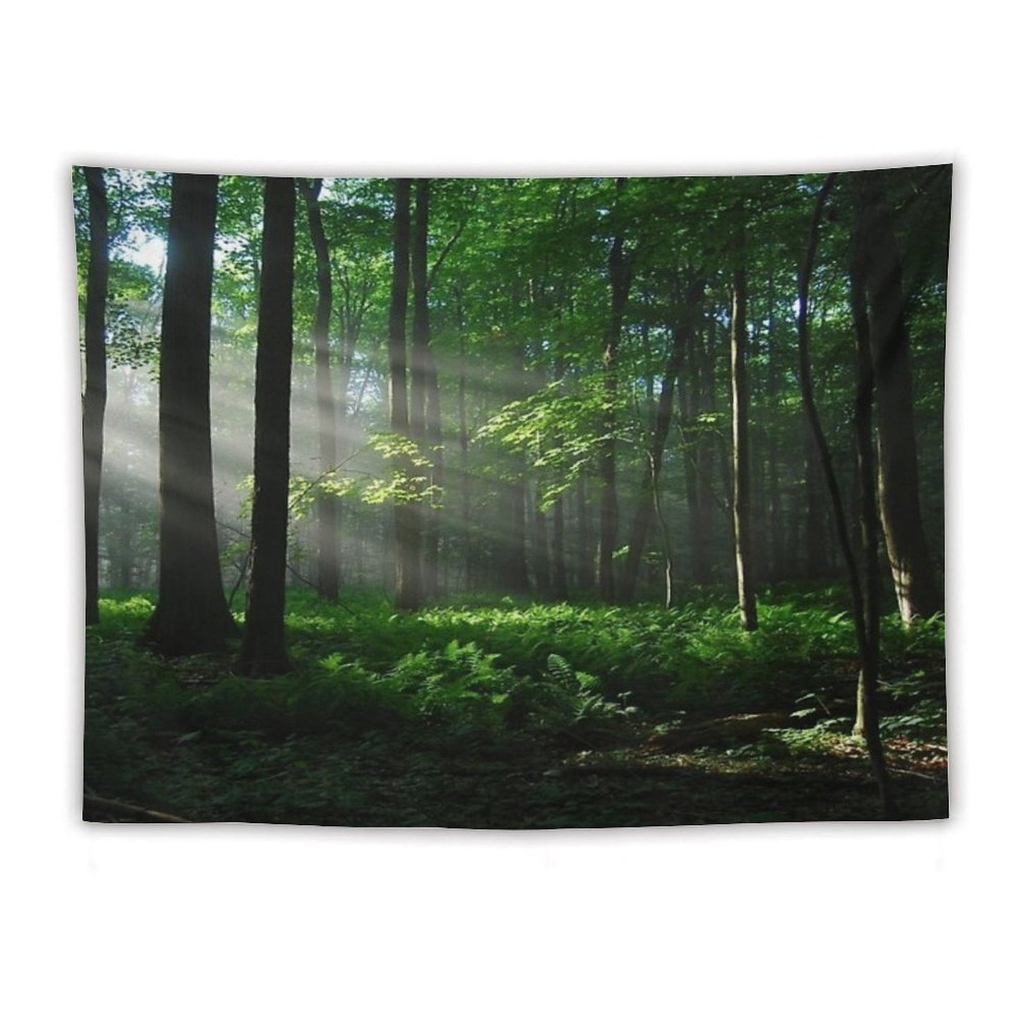 Lighted Forest Tapestry