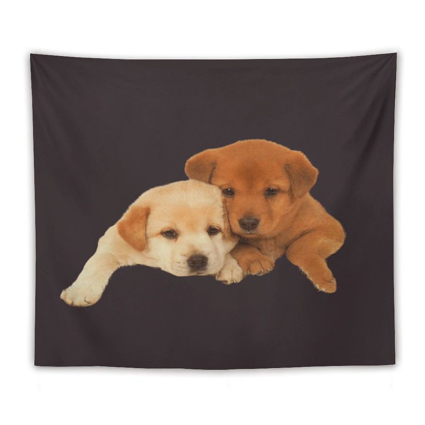 Drake - FOR ALL THE DOGS Tapestry