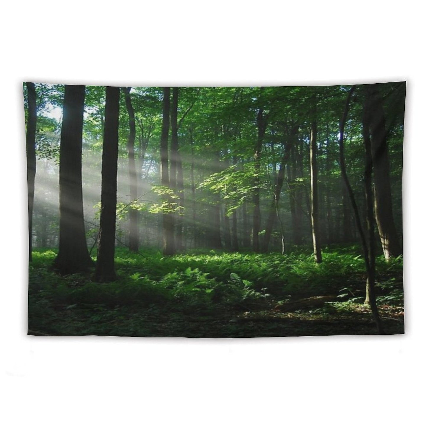 Lighted Forest Tapestry