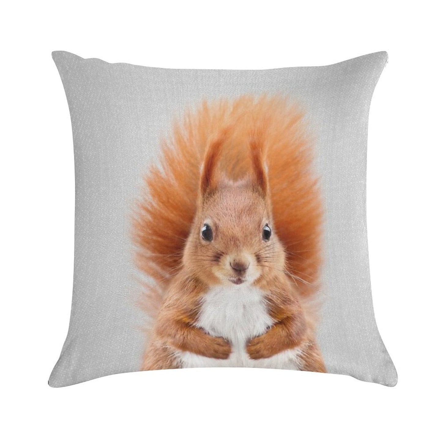 Squirrel 2 - Colorful Soft Style Accent Throw Pillow