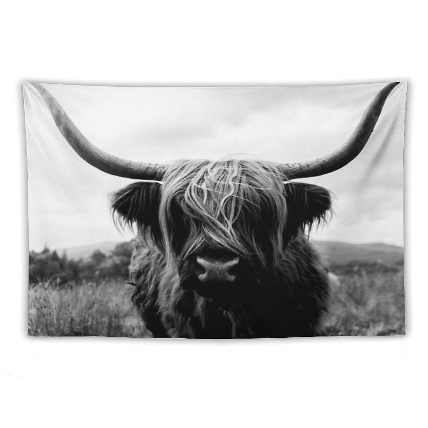 Scottish Highland Cattle - Black And White Animal Photography Tapestry