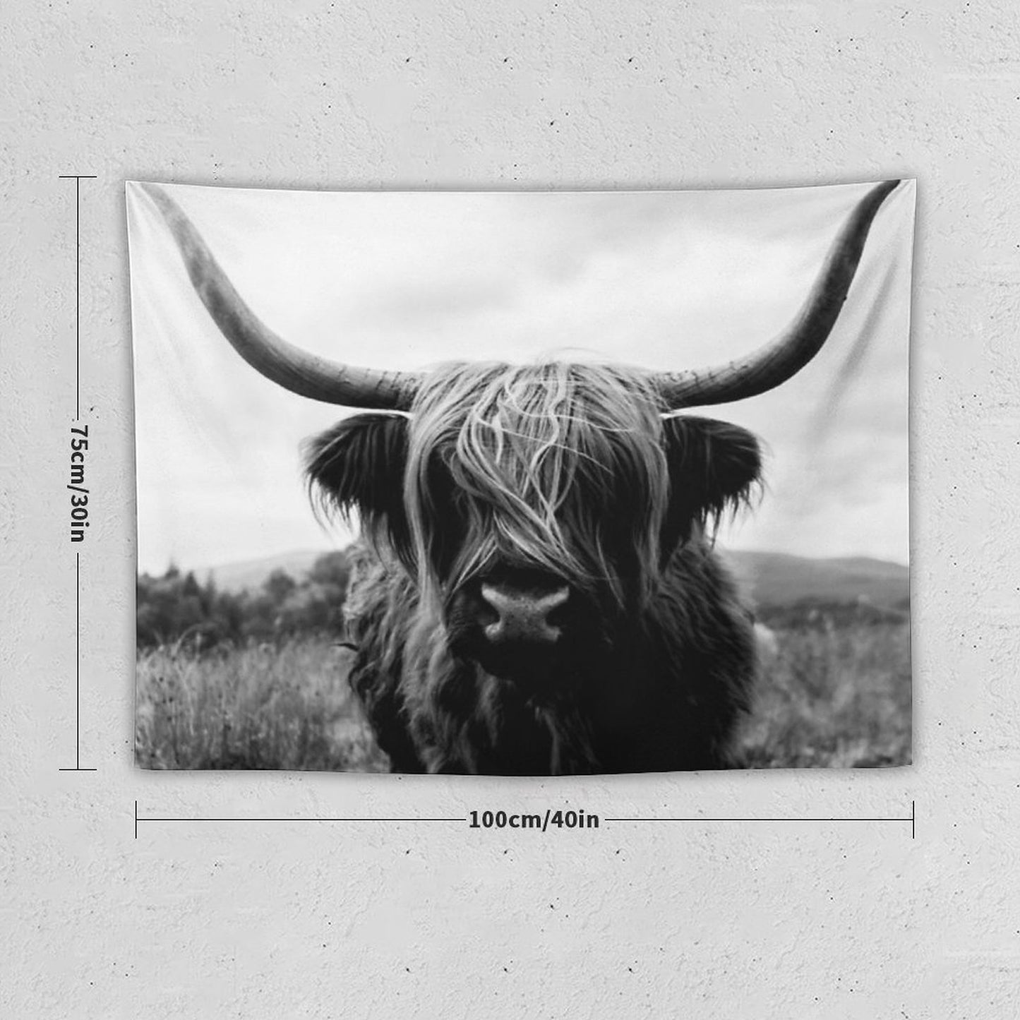 Scottish Highland Cattle - Black And White Animal Photography Tapestry