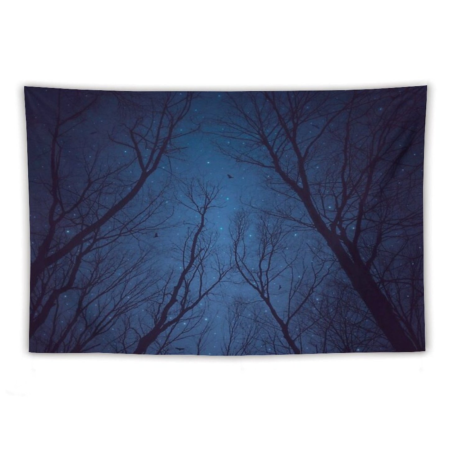 I Have Loved The Stars Too Fondly Tapestry