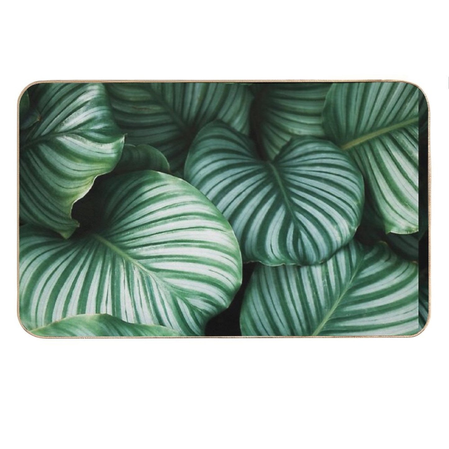 Beautiful Tropical Green Plants Bath Mat