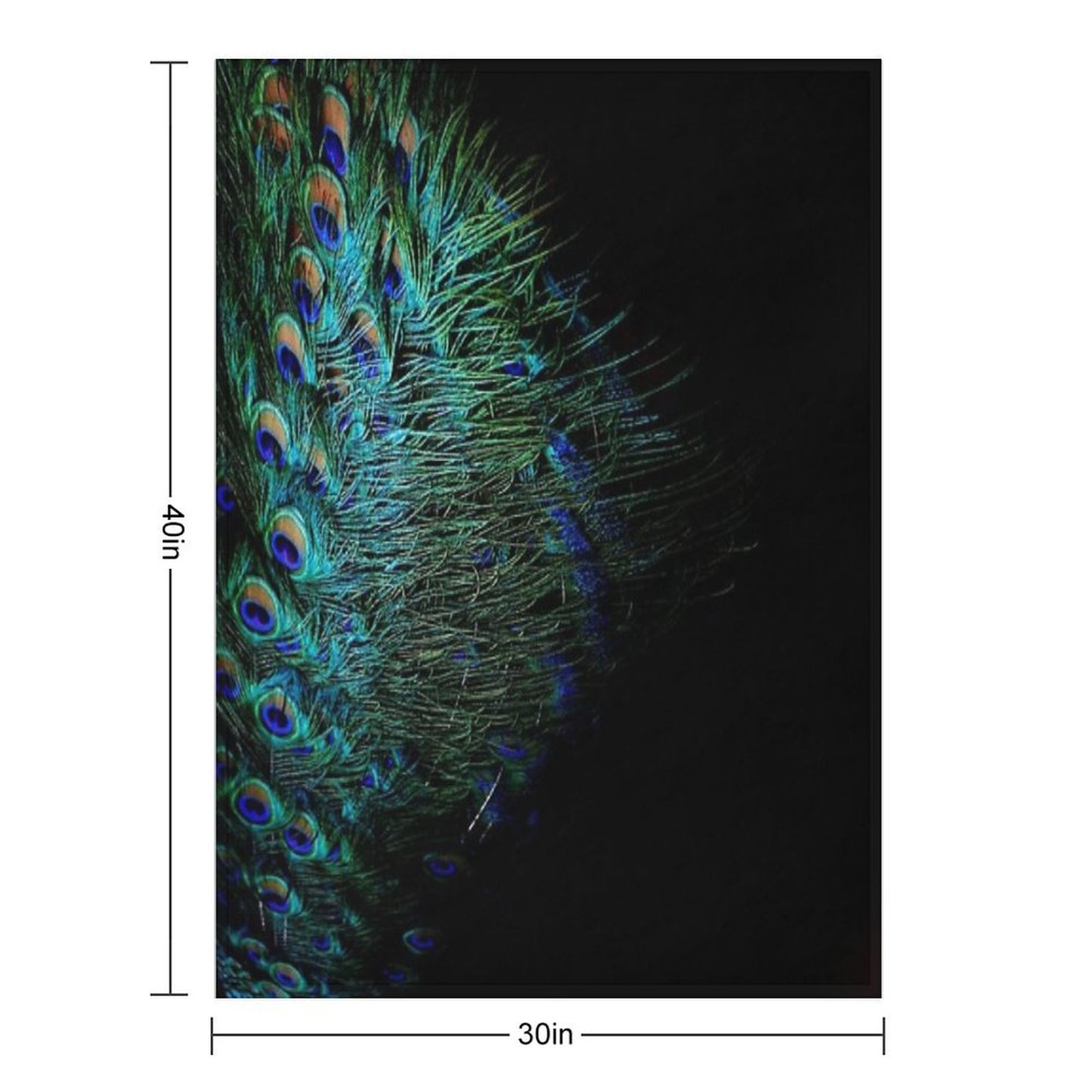 Peacock Feathers on A Black Background Throw Blanket