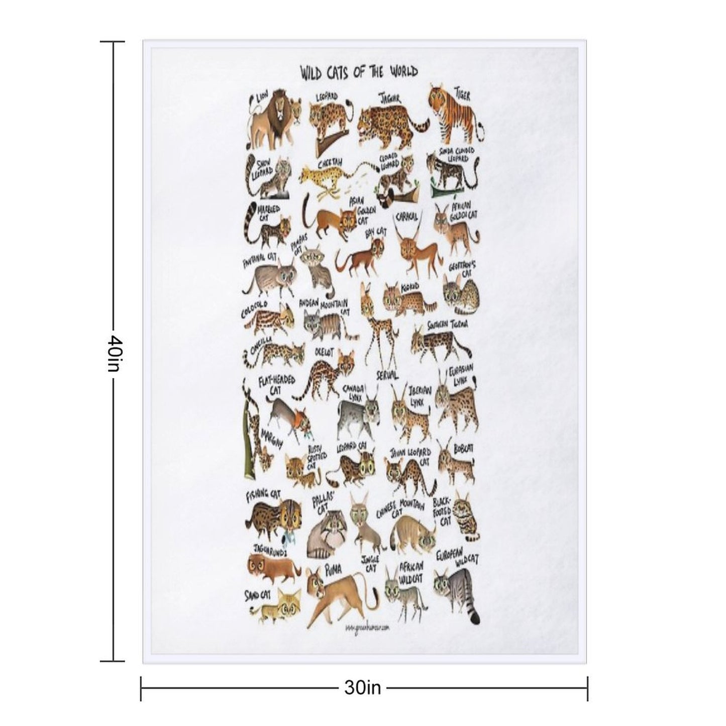Wild Cats of The World Throw Blanket