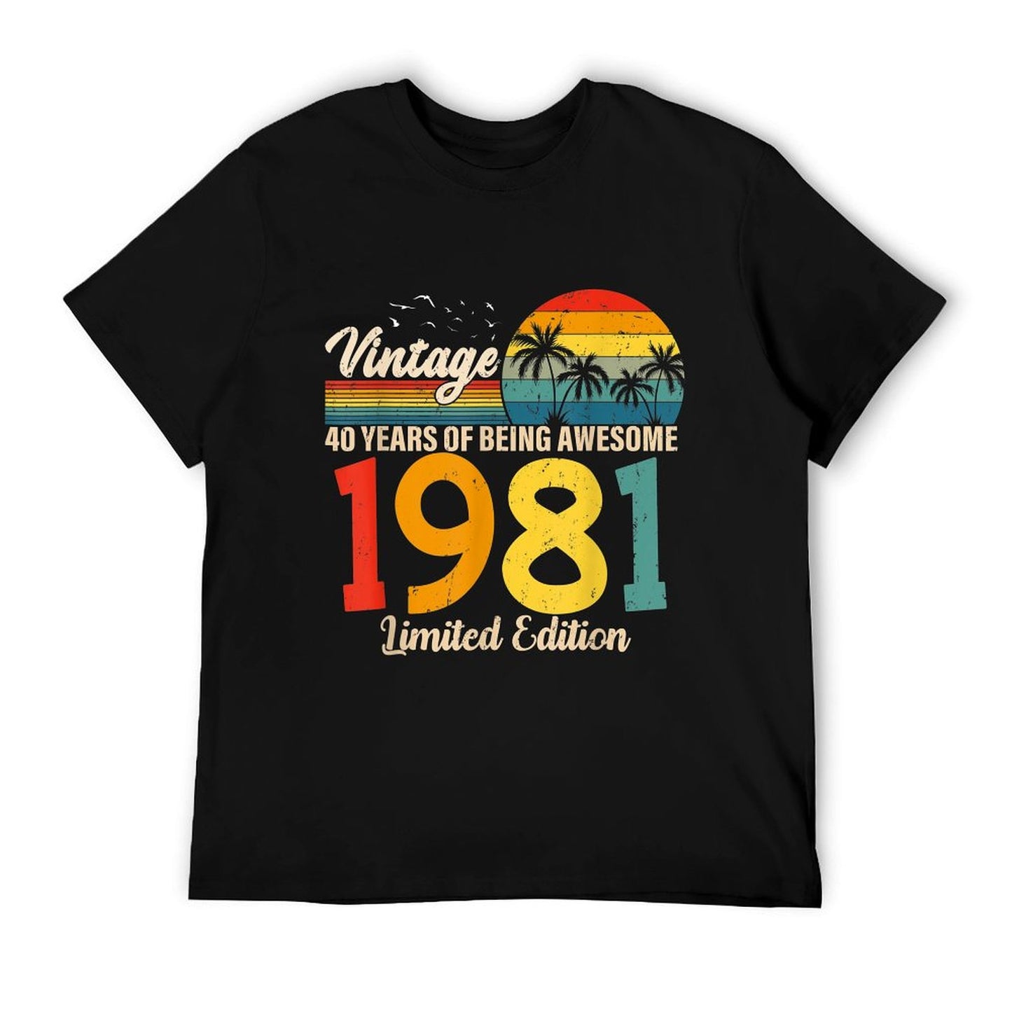 Vintage 1981 40th Birthday 40 Years Old Gift Men Women Affordable Price T-Shirt