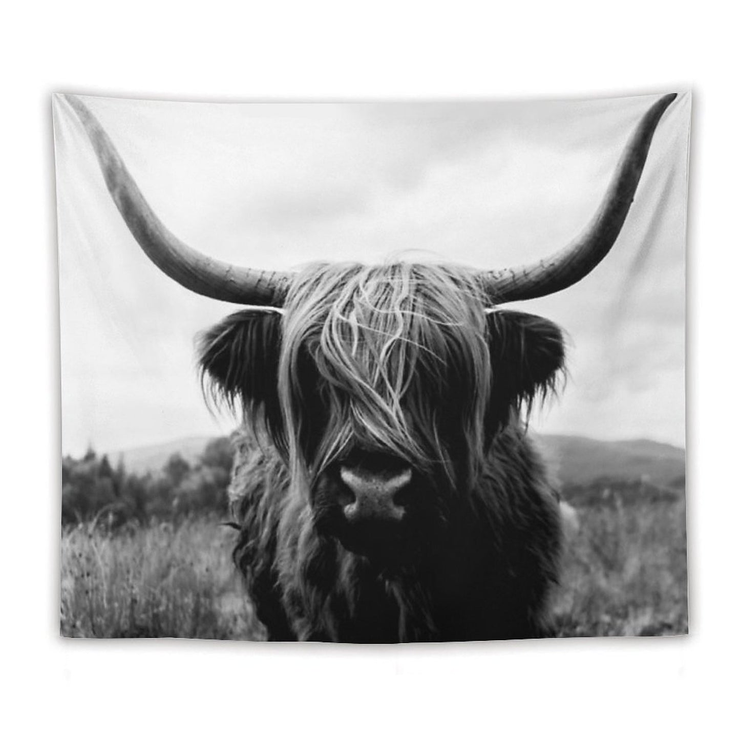 Scottish Highland Cattle - Black And White Animal Photography Tapestry