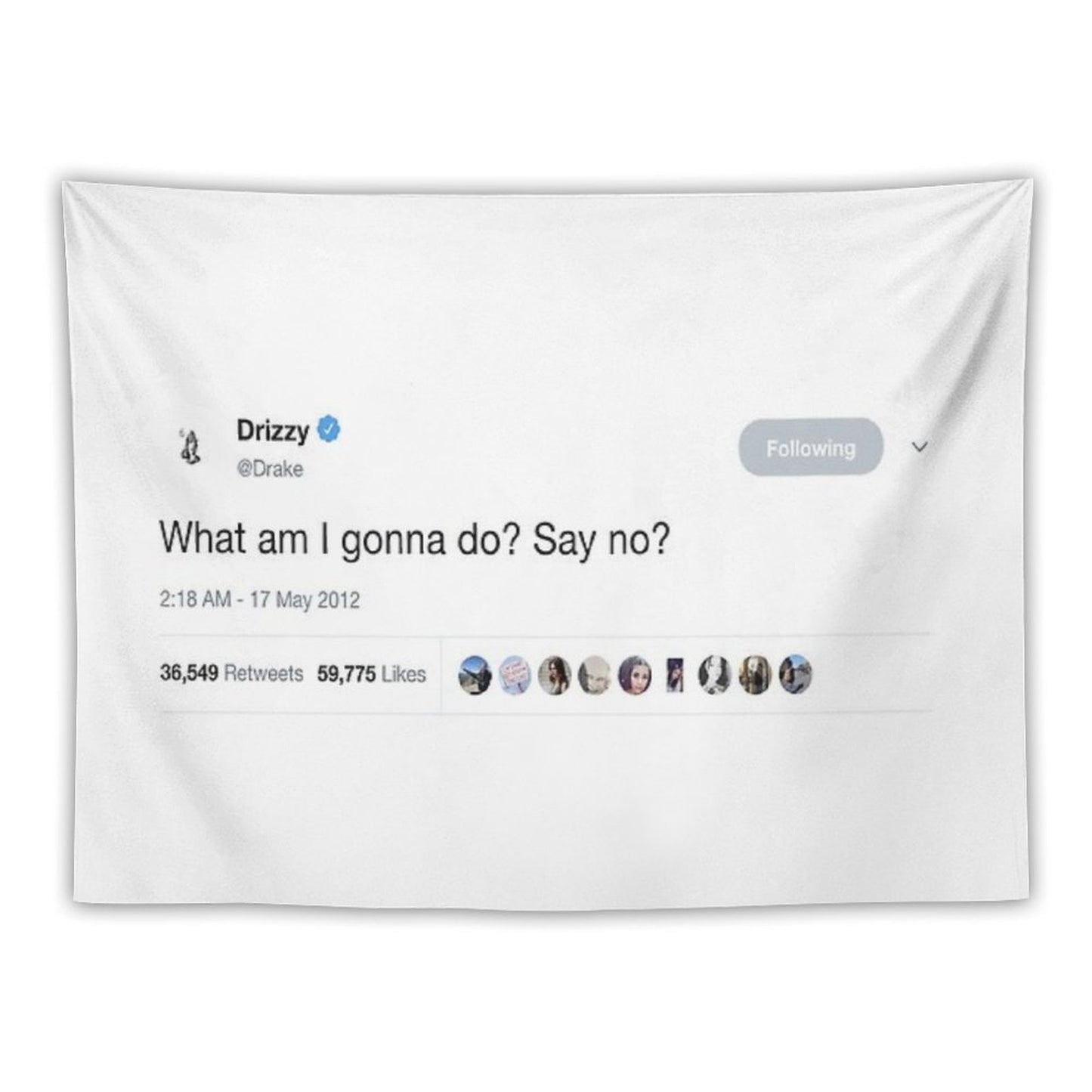 Drake - What Am I Gonna Do Say No Tweet Tapestry